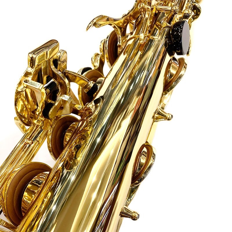 Selmer Paris 【B級特価！】テナーサックス セルマー AXOS（アクソス 