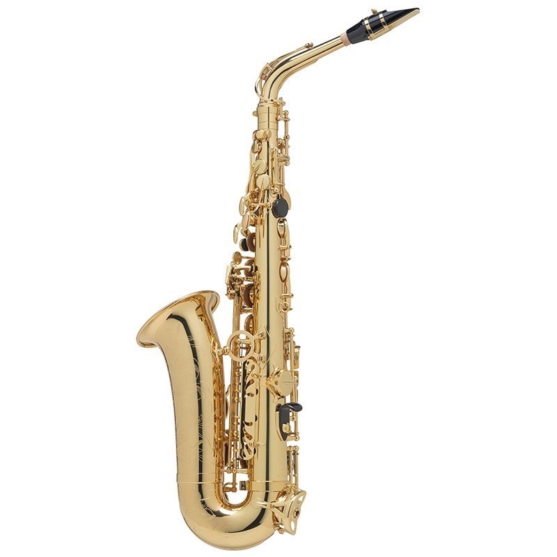 Selmer Paris 【大城正司氏選定品】アルトサックス セルマー AXOS