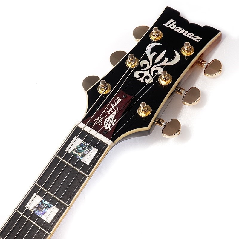 Ibanez JSM10-VYS 【特価】 画像8