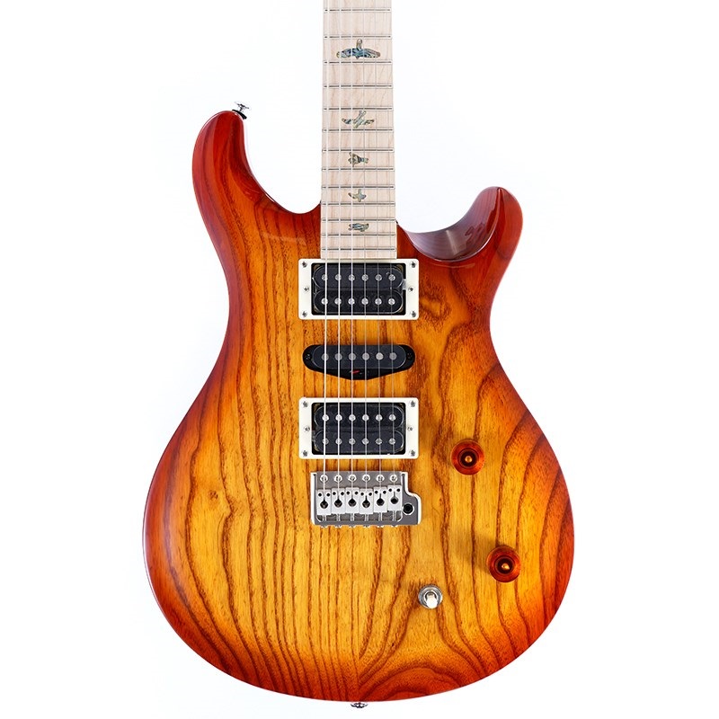 P.R.S. SE Swamp Ash Special (Vintage Sunburst) ｜イケベ楽器店