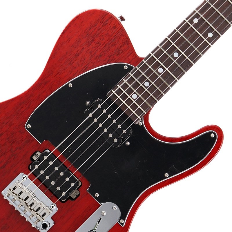 Kz Guitar Works Kz TL Trad 22 2H5 (See-Through Red) ｜イケベ楽器店