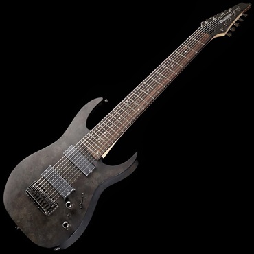 Ibanez Axe Design Lab RG9PB-TGF 画像1