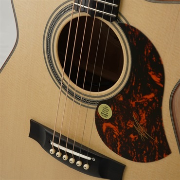 MATON EBG808C MF -Michael Fix Signature- メイトン 画像5