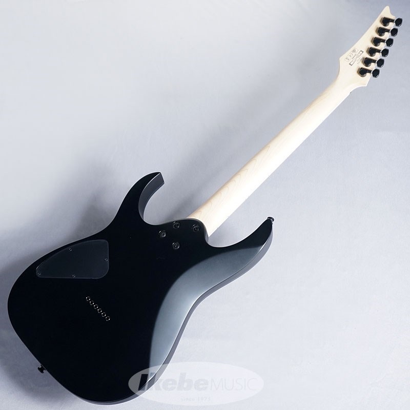 Ibanez RG421EX-BKF 画像2