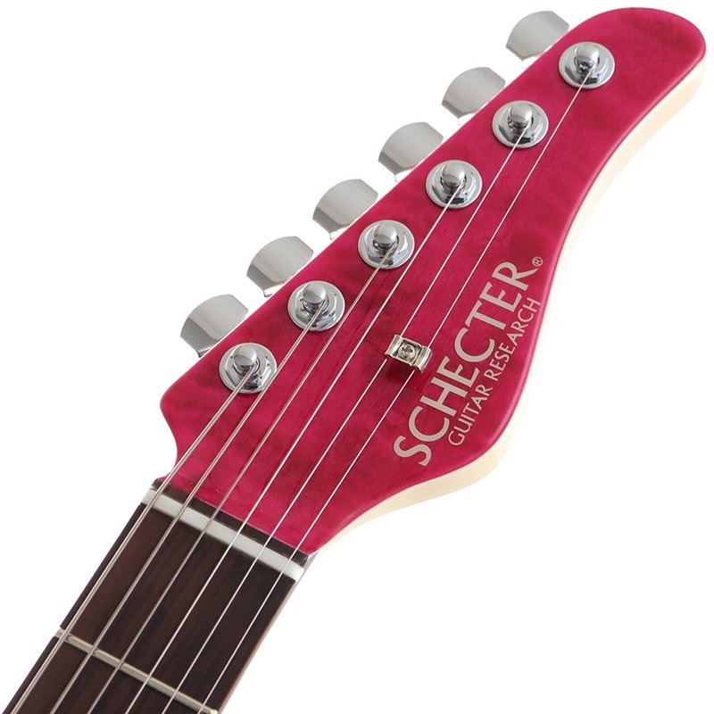 SCHECTER GUITAR RESEARCHのハードケース - 楽器、器材