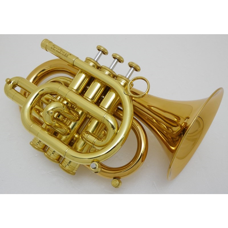 通販販売 【要修理】ポケットトランペット CAROL BRASS N3000 GB