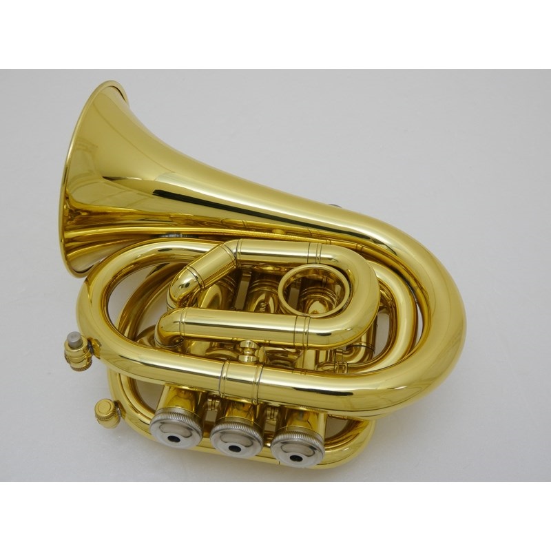 SALEセール ポケットトランペット CAROL CL CAROL BRASS N4000 CL 楽器