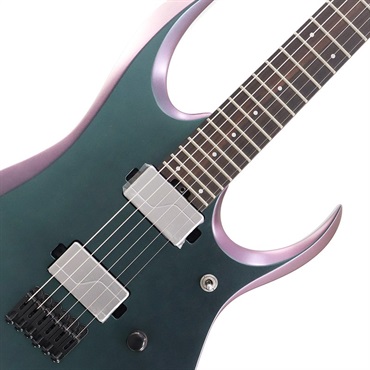 Ibanez Prestige RGD3121-PRF [SPOT MODEL] 【特価】 画像3