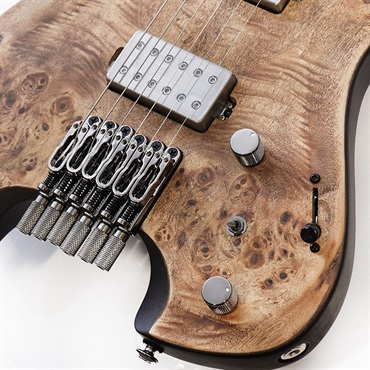 Ibanez Q52PB-ABS [SPOT MODEL] 画像4