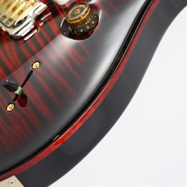 P.R.S. Custom 24 10top (Fire Smokeburst) 【SN.0377418】【2024年生産モデル】 画像5