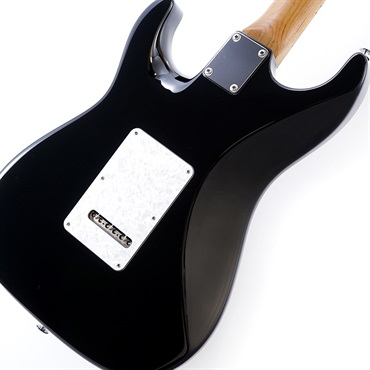 Suhr Guitars Core Line Series Standard Plus (Faded Trans Whale 