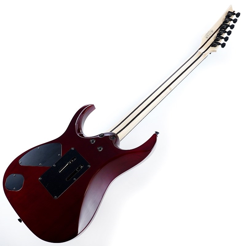 Ibanez j.custom Axe Design Lab RG8870-AGT SN.F2433487 画像2