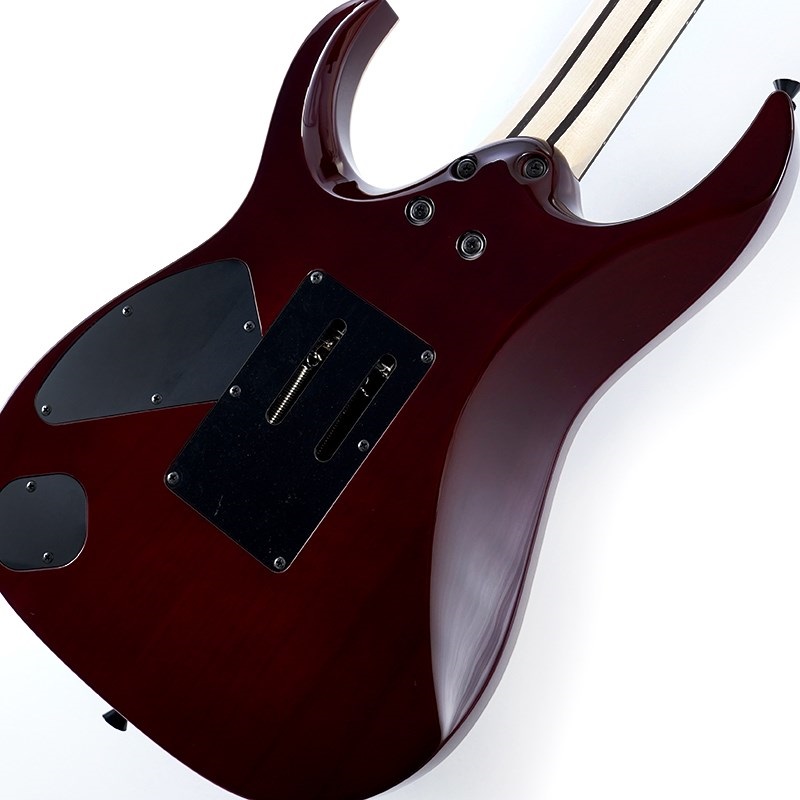 Ibanez j.custom Axe Design Lab RG8870-AGT SN.F2433487 画像7
