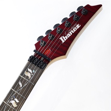 Ibanez j.custom Axe Design Lab RG8870-AGT SN.F2433487 画像8