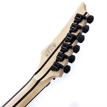 Ibanez j.custom Axe Design Lab RG8870-AGT SN.F2433487 画像9