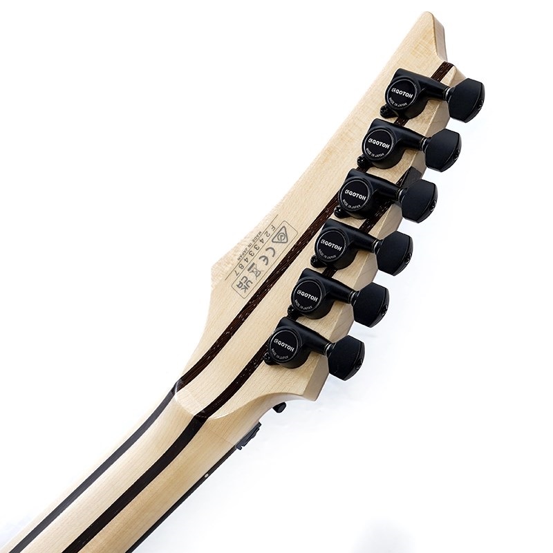 Ibanez j.custom Axe Design Lab RG8870-AGT SN.F2433487 画像9