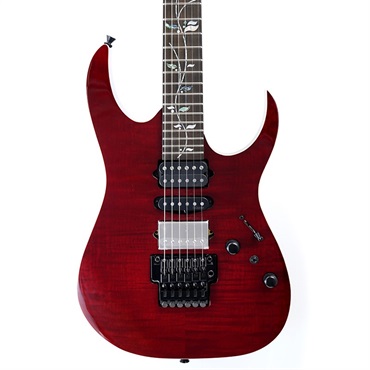 Ibanez j.custom Axe Design Lab RG8870-AGT SN.F2433487 画像10