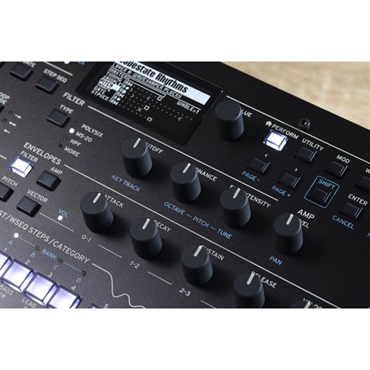 KORG 【夏先取り大特価セール】wavestate module WAVE SEQUENCING SYNTHESIZER (WAVESTATE-M) 画像10