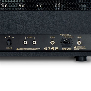 FRIEDMAN BE-100 DELUXE [100W HEAD]（フリードマン） 画像8