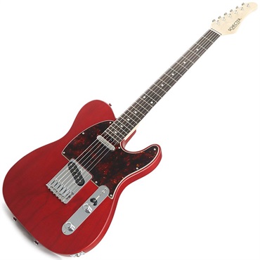 SCHECTER IKEBE ORDER Progauge Series PS-TE-IK (Red Tint/Rosewood) 【特価】  ｜イケベ楽器店オンラインストア