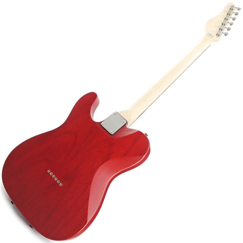 SCHECTER IKEBE ORDER Progauge Series PS-TE-IK (Red Tint/Rosewood) 【特価】  ｜イケベ楽器店オンラインストア