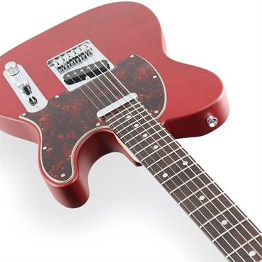 SCHECTER IKEBE ORDER Progauge Series PS-TE-IK (Red Tint/Rosewood) 【特価】 画像4