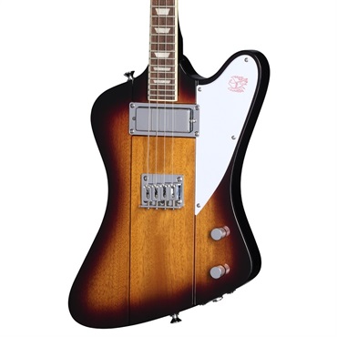 Epiphone Mandobird (VS) [エレクトリックマンドリン] 画像2