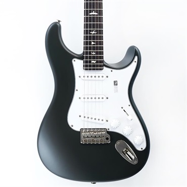 P.R.S. 【「THE IKEBE PRS VAULT」オープン記念キャンペーン】 Silver Sky Rosewood (Faded Black Tee Satin) SN.0413309 【2025年生産品】 画像10