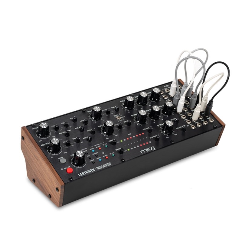 moog Labyrinth(予約商品・納期完全未定・入荷次第順次出荷) 画像1