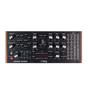 moog Labyrinth(予約商品・納期完全未定・入荷次第順次出荷) 画像2