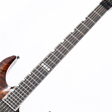 E-II HORIZON FR-II (Tiger Eye Sunburst) [SN.ES3573233] 画像5