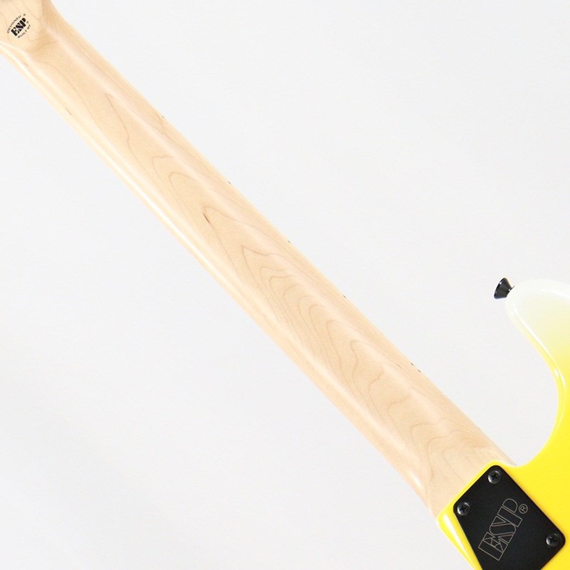 Edwards E-YELLOW TIGER (Yellow Tiger Graphic) [George Lynch Signature Model] 【特価】 画像5