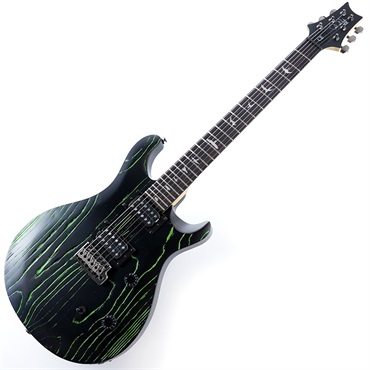 P.R.S. SE Swamp Ash CE 24 Sandblasted Limited Edition (Sandblasted Green) 画像1