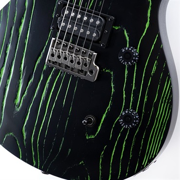 P.R.S. SE Swamp Ash CE 24 Sandblasted Limited Edition (Sandblasted Green) 画像4