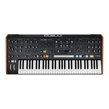 moog Muse(モーグ)(アナログシンセサイザー)【納期未定】 画像3