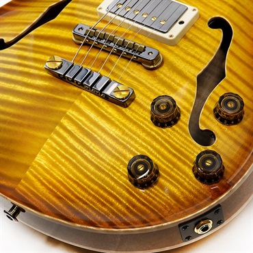 P.R.S. Private Stock Brazilian #10626 McCarty 594 Hollowbody II Honey Gold 画像4