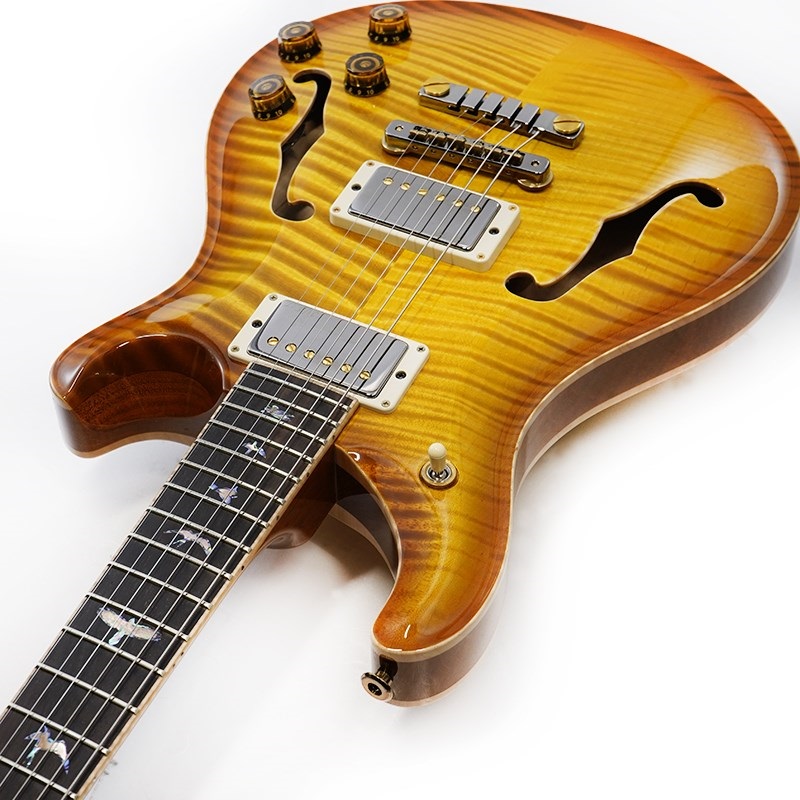 P.R.S. Private Stock Brazilian #10626 McCarty 594 Hollowbody II Honey Gold 画像5