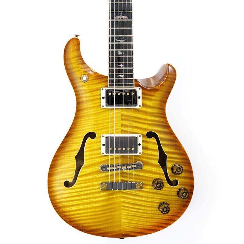 P.R.S. Private Stock Brazilian #10626 McCarty 594 Hollowbody II Honey Gold 画像10