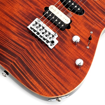 Suhr Guitars JE-Line Standard Plus RR (Root Beer/Indian Rosewood) 【SN.78153】 画像4