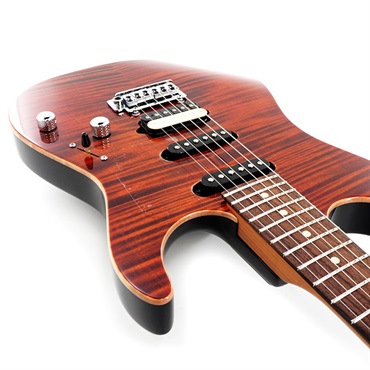 Suhr Guitars JE-Line Standard Plus RR (Root Beer/Indian Rosewood) 【SN.78153】 画像8