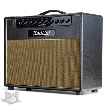 Bad Cat BLACK CAT 1x12 Combo 画像2