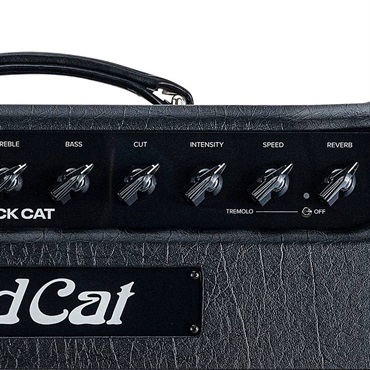 Bad Cat BLACK CAT 1x12 Combo 画像5