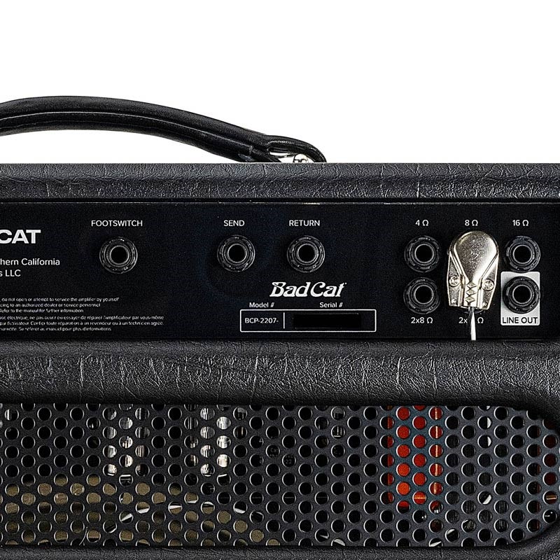 Bad Cat BLACK CAT 1x12 Combo 画像7