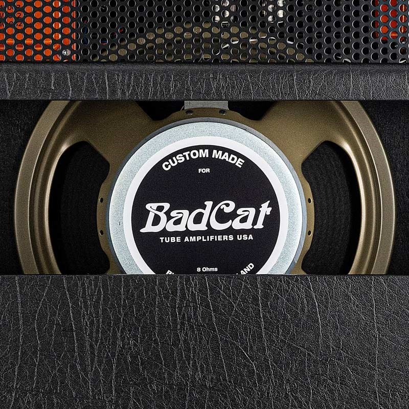 Bad Cat BLACK CAT 1x12 Combo 画像8