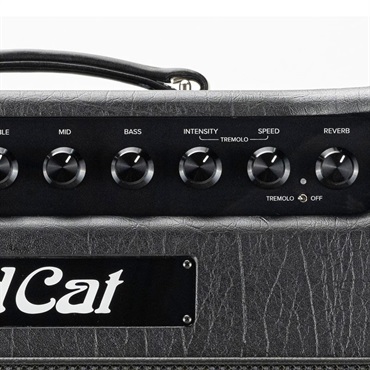 Bad Cat JET BLACK 1x12 Combo 画像5