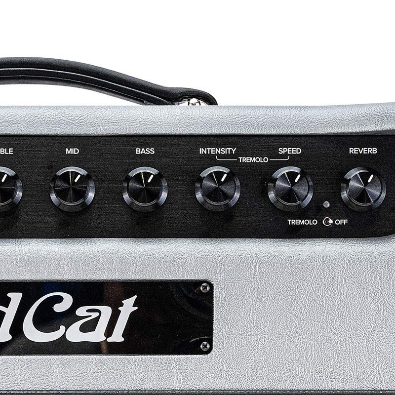 Bad Cat JET BLACK BAD CAT 25TH ANNIVERSARY LIMITED EDITION 1x12 Combo 画像5