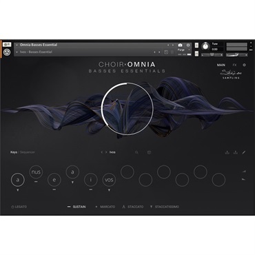 Native Instruments Choir Omnia - Essentials (オンライン納品)(代引不可) 画像3