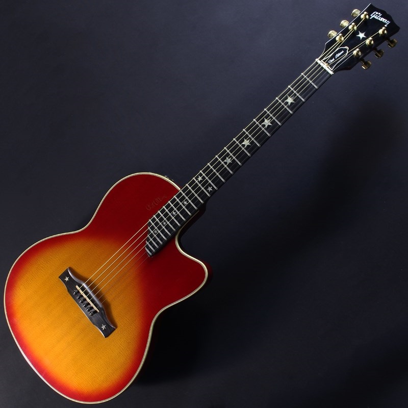 レア？】Epiphone Chet Atkins SST - 楽器/器材