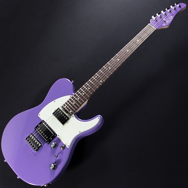 SCHECTER KR-24-2H-FXD-MH/VP/R 画像1