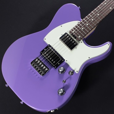 SCHECTER KR-24-2H-FXD-MH/VP/R 画像2